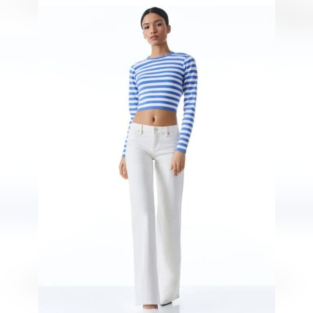 Alice + Olivia Striped Blue and White Crop Top - Picture 2 of 11